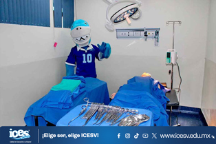 Descripción IMG
